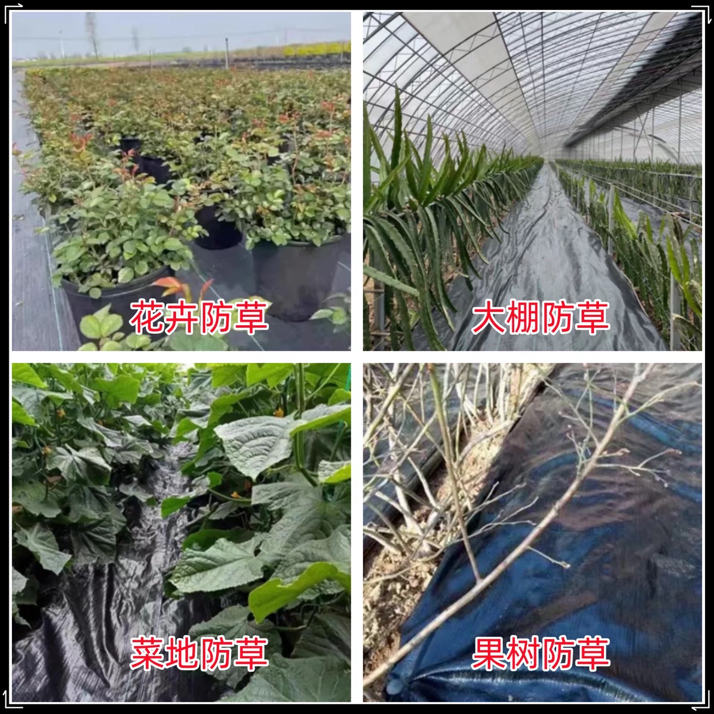 周口市果树反光膜防草布 - 哪里好