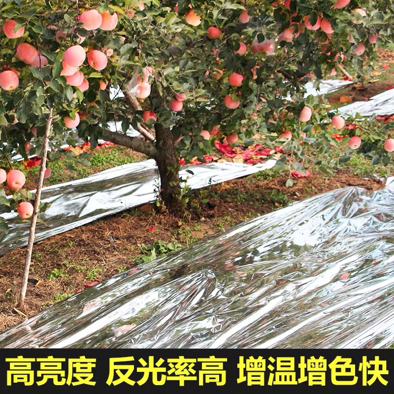 周口市地膜果树反光膜 - 一站式服务